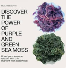 Load image into Gallery viewer, [16 ounces] Purple Wildcrafted Sea Moss Gel
